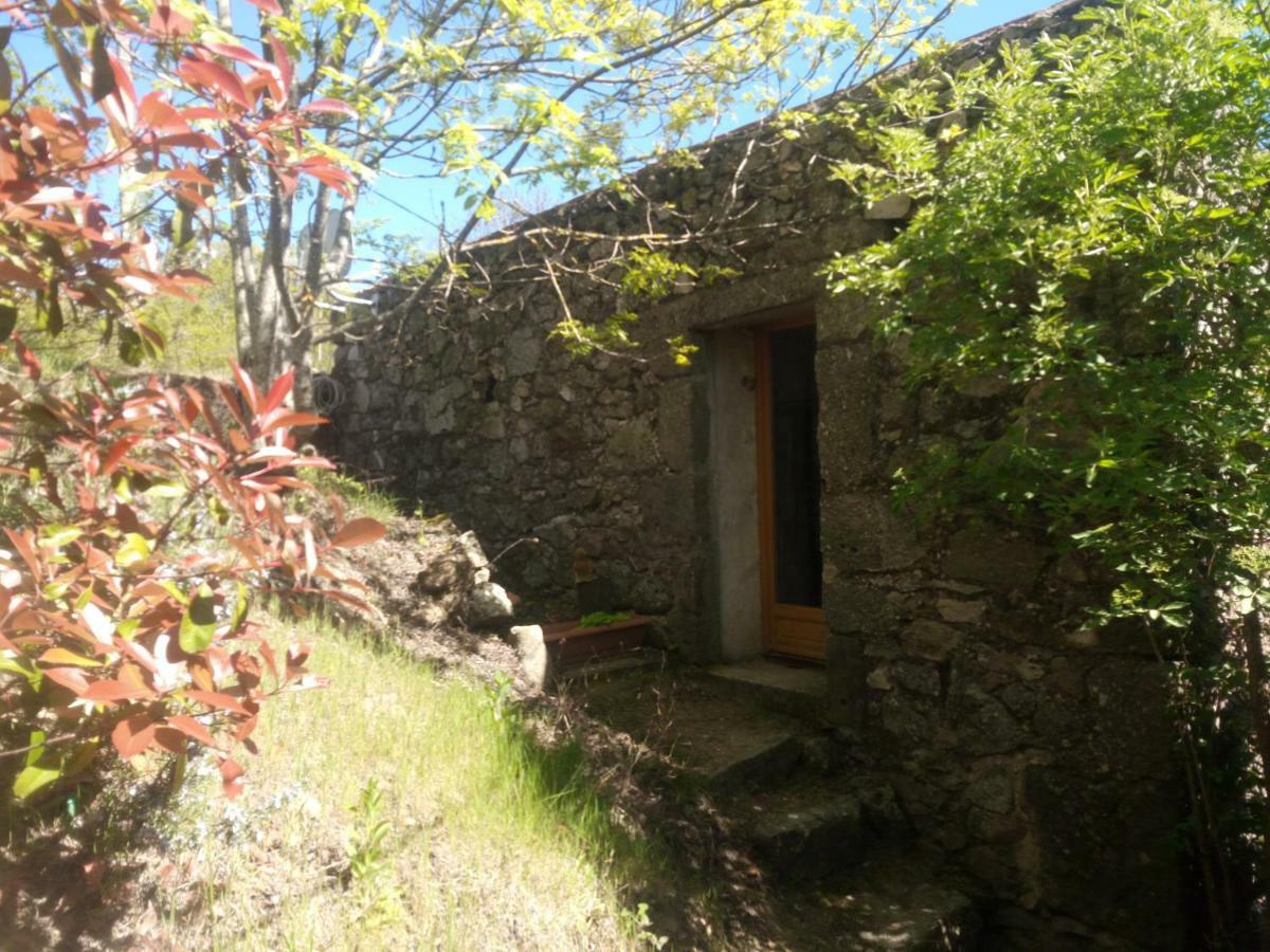 Les Gites Du Mazel Champis 外观 照片